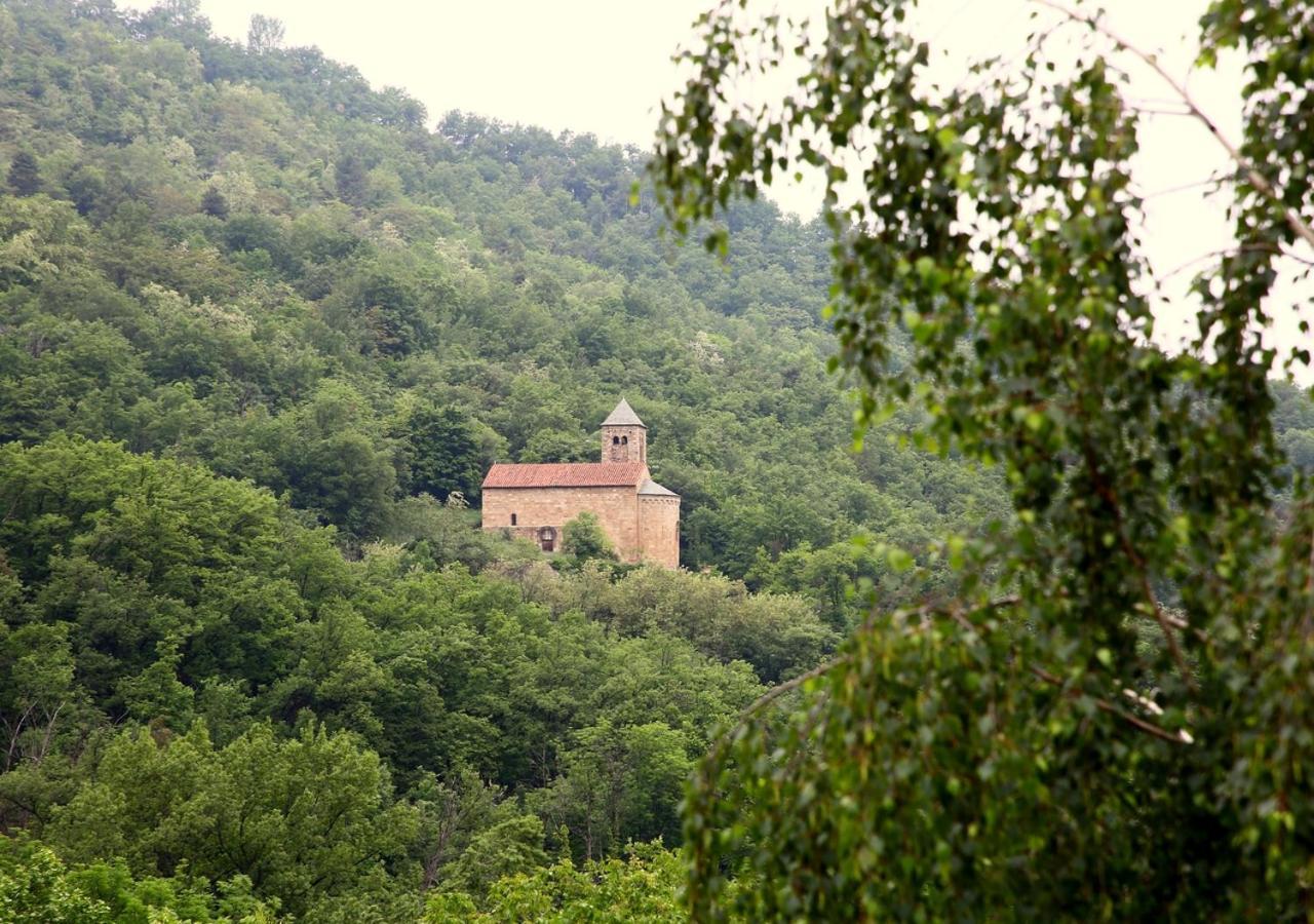 Beau Vallon - Gite Et Chambres D'Hotes Pyrenees-Mediterranee - Pays Catalan Sahorre Eksteriør billede