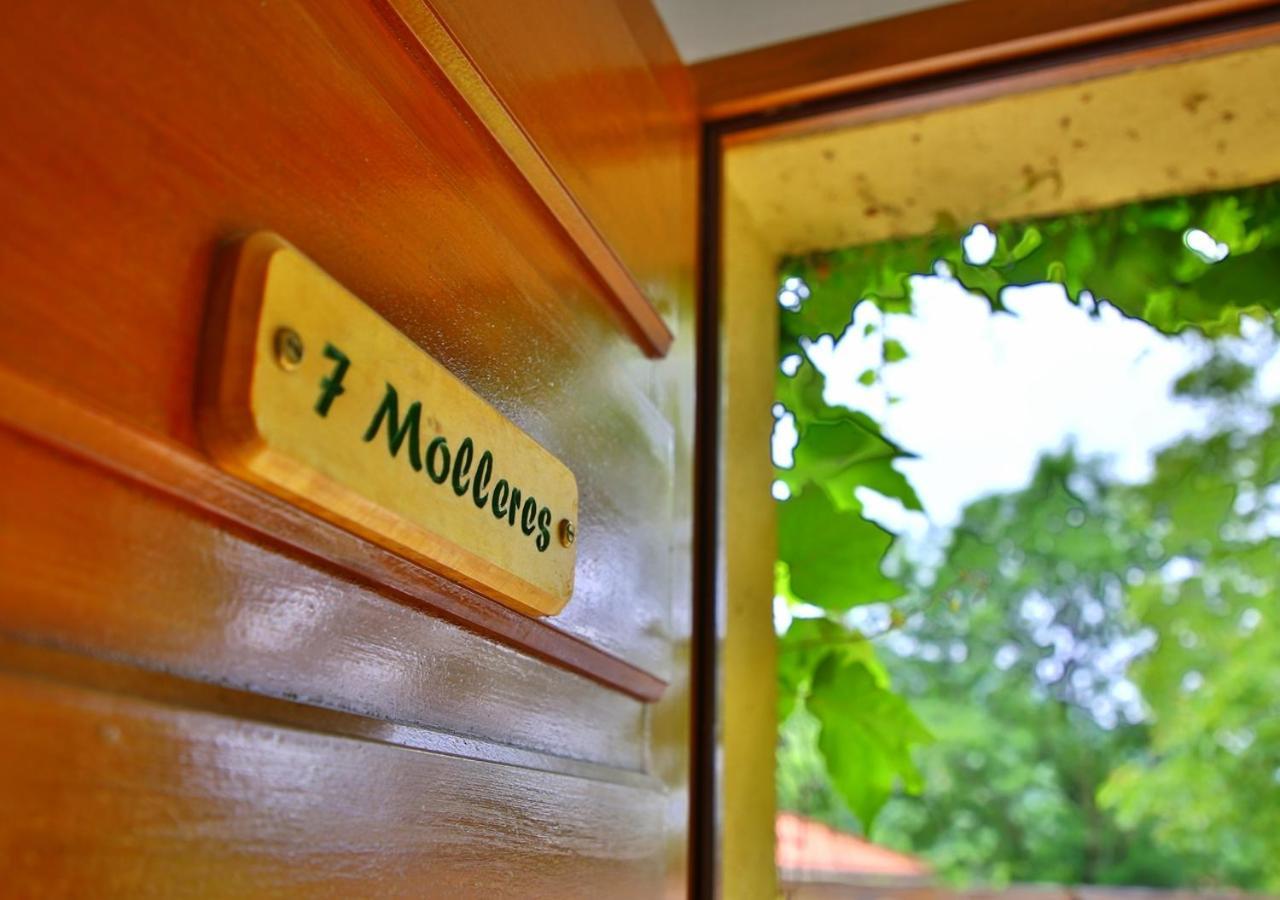 Beau Vallon - Gite Et Chambres D'Hotes Pyrenees-Mediterranee - Pays Catalan Sahorre Eksteriør billede